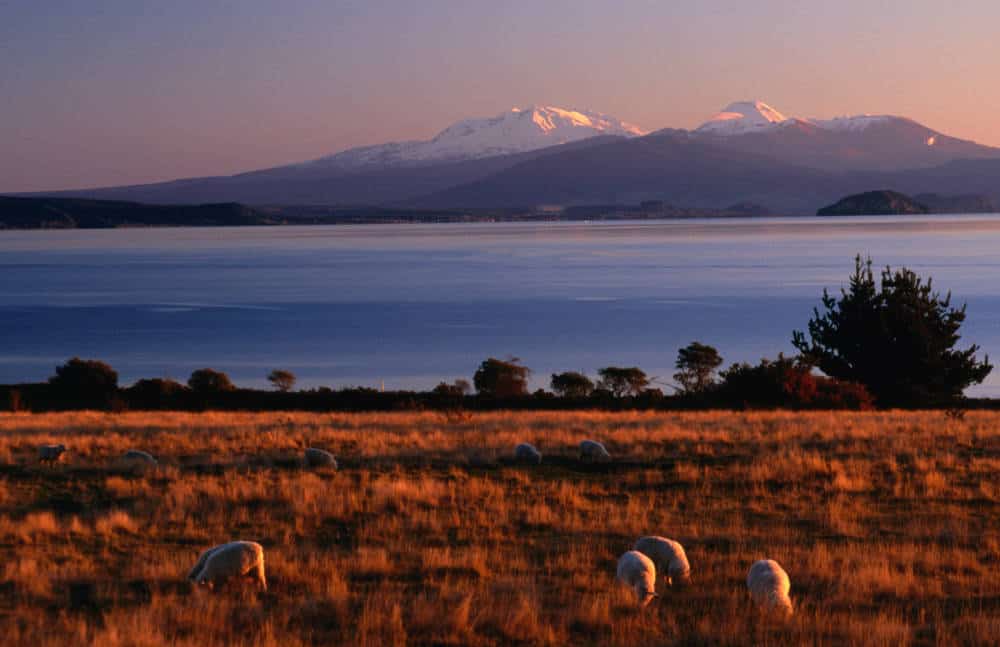 Lake Taupo with Mt Ruapehu (2797m left), Mt Ngauruhoe (2291m) and Mt Tongariro (1968m right) on the distant shore in Tongariro National Park.