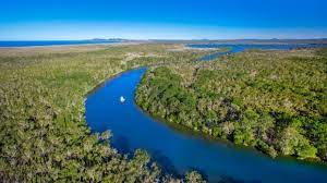 Noosa Everglades, Queensland