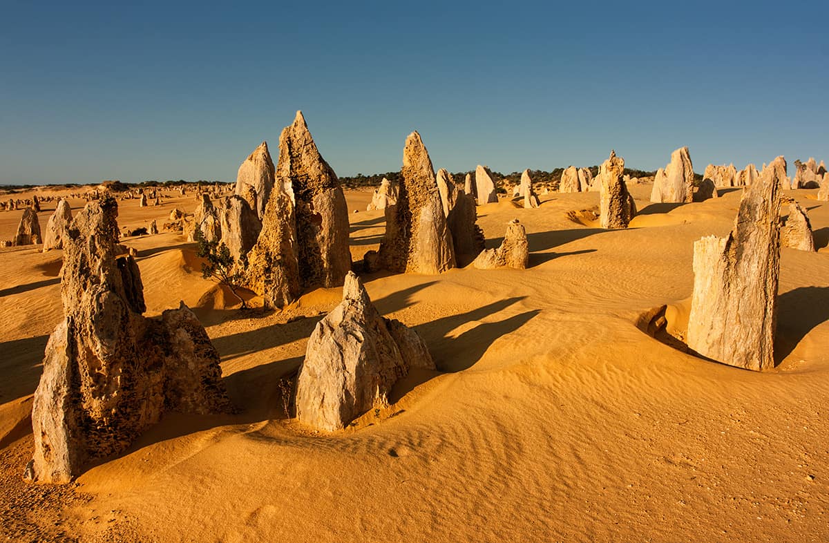 The Pinnacles Desert, Western Australia
